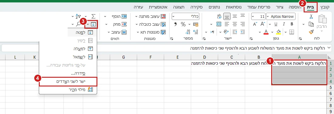 התפריט מילוי באקסל 365, והפריט ישר לשני הצדדים