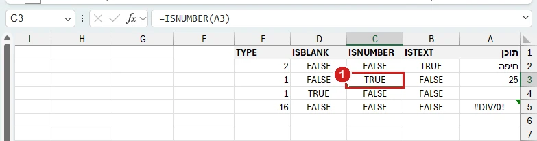 פונקציות מידע באקסל 365: ISTEXT, ISNUMBER, ISBLANK ו‑TYPE על טקסט, מספר, תא ריק ושגיאה